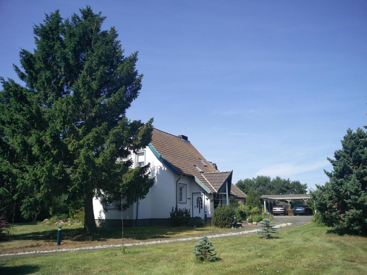 טראסנהיידה Ferienwohnung Am Kuestenwald מראה חיצוני תמונה